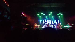 Away - Tribal Seeds live @ The Catalyst 2016