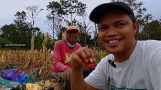 Hidup Di Kampung tak Banyak Pilihan Benar Benar Sederhana Dan Seadanya