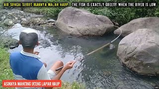 Air Sungai Surut Ikannya Malah Haup / The Greedy Fish When The River Water  is Low