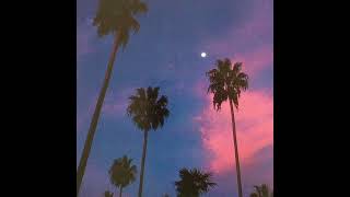 Josman x Luther x Mairo Type Beat - PALM TREES