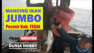 Mancing ikan jumbo pesisir pantai kab Tegal bersama om Bagas dan om Bintang