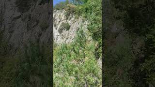 Peretele de Piatră din Dealul Melcilor, Brașov part VII 😲😨  #brașov #rockclimbing #panorama