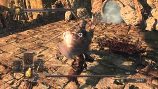 DARK SOULS II: The Pursuer Boss Fight (NG+)