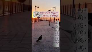 كيف ذكى الله نبينا محمد صلى الله عليه وسلم تذكية عظيمة 🕋🕌