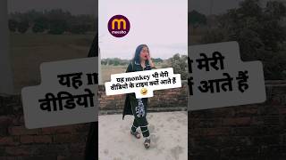 बंदरों को मेरी वीडियो से बहुत दिक्कत होती है🤣 #dance#meeshofind  #meeshohaul #dholak