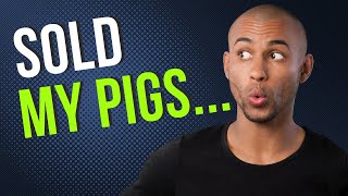 WHY I SOLD ALL MY PIGS ON THE ANIMAL FARM...