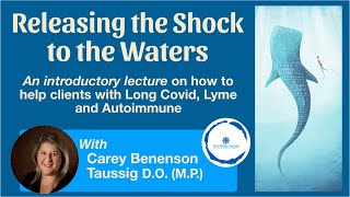 Releasing the Shock to the Waters: How to Help Clients with Long Covid, Lyme and Autoimmune