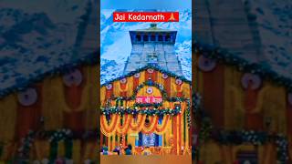 Jai Kedarnath 🙏 #ytshorts #youtube #mahadevstatus #kedarnathdham #mahadev #viral #india