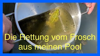 Die Rettung vom Frosch aus meinen Pool