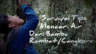 ( SURVIVAL TIPS 13 ) Mencari sumber air di gunung/hutan