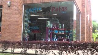 Cuatro Patas SAS