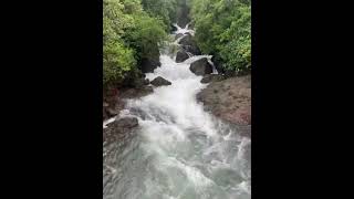 Goa’s beautiful small river