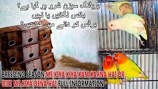 بریڈنگ سیزن شروع  ہو گیا ہے یا نہیں؟ | BREEDING SEASON IS START, WHAT TO FEED BIRDS | AA BIRDS INFO