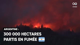 En Argentine, de nombreux feux de forêt s'étendent dans différentes régions