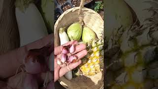 Harvest Some Vegetables dan Fruits || Panen Sayuran dan Buah di Mahmudah.garden