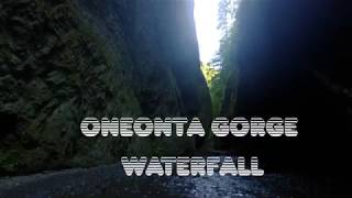 Oneonta Gorge Fall, OR