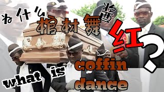 棺材舞 coffin dance | 到底什么是棺材舞？what is coffin dance? (2020)