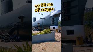 ବଡ଼ ତିମି ମାଛ 💥💥#viral #comedy #short #shortvideo #fun  #reels #reel #shorts #shot #real