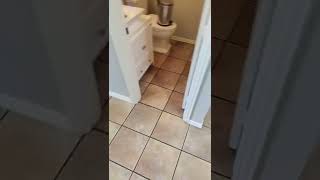 Hustle Hard Friday || 573sqft Tile and Grout Clean and Seal