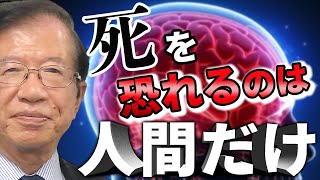 【公式】子供の頃から死がとても怖いです。死後の世界はあると信じていますが、先生の見解は？【武田邦彦】