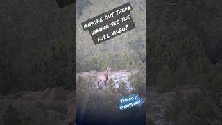 Bull Elk Hunt 2022! "The Shot" Utah Bull