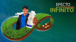 Cuida tu cultivo de cebolla con  Efecto Infinito | Agro Bayer Colombia