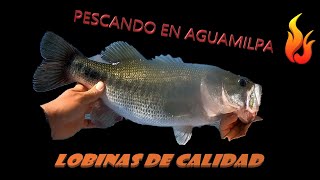 DE PESCA EN LA PRESA AGUAMILPA, NAYARIT!!!! PARTE 1: DESCIFRANDO PATRON PARA LAS LOBINAS GRANDES🔥🔥