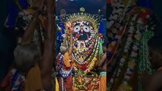 DEVA UTTHAPANA EKADASI RE LAXMINARAYAN BESA