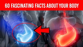 60 Fascinating Facts About Your Body You Probably Didn't Know About | Info Junkie TV