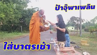 ทำบุญตักบาตรอุทิศส่วนกุศลให้คุณแม่สำราญ | ป้าอุ๊พาเพลิน