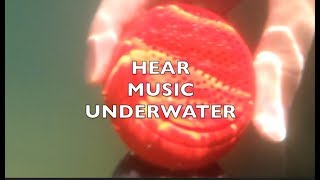 Play Music Underwater! Barnacle Plus Bluetooth Waterproof Speaker Review