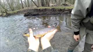 Trout Opener! Some Nice Browns