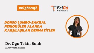 Dorso Lumbo-Sakral Perioküler Alanda Karşılaşılan Dermatitler Dr. Oya Tekin Balık