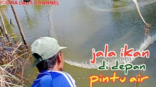 jala ikan didepan pintu air di sawah