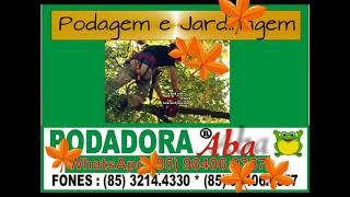 PODA CORTA ARVORE EM ACARAPE (85) 3214.4330 * 98406.0357