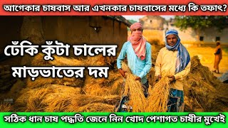 ধান চাষের বর্তমান অবস্থা/ধান চাষ পদ্ধতি || Rice Cultivation Method