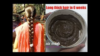 LONG THICK HAIR IN 6 WEEKS | HERBAL HAIR MASK