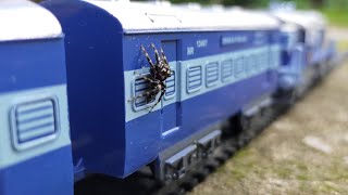 Spider in Indian Railway Train in Mini Railway Station