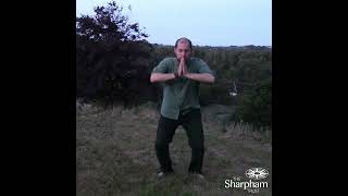 Mindful Movement routine with tapping and qigong from Sharpham Trust Coach House