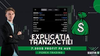 7.500$ PROFIT pe AUR + Explicatia Tranzactiei | Trading Romania