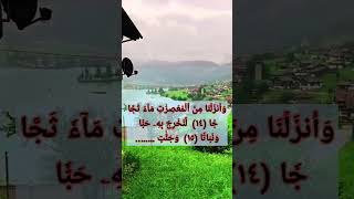 ٢ ديسمبر، ٢٠٢٤