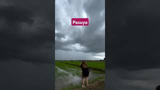 pasuyo #vlog