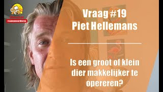 Vraag #19 DierenLot - Piet Hellemans