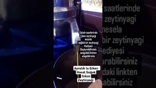 AYVALİK DALGİCOGLU ZEYTİNYAGİ