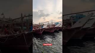 Dubai Port 🛥️Creek views fishing 🎣 #dubai #creek #shorts