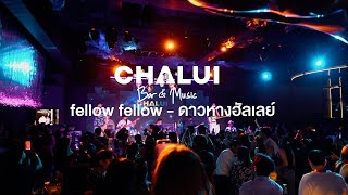 fellow fellow - ดาวหางฮัลเลย์  Live at Chalui Bar & Music