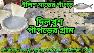 দিলখুশ পাঁপড়  || নানা স্বাদের তৈরি হয় এই পাঁপড় || masala papad receipe || কিভাবে মশলা পাঁপড় তৈরি হয়