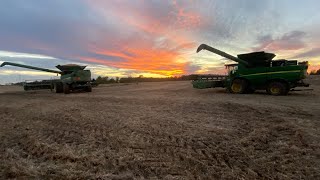 Finishing up soybean harvest