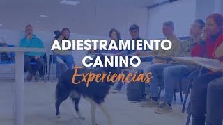 Conocé más de las clases de Adiestramiento Canino 🐕🐾