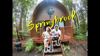 #ViajarPorAustralia: Exploramos el Springbrook National Park,  Gold Coast Hinterland